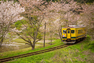 いすみ鉄道の春