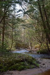 Regional park of the Gentilly river