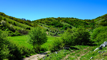 Panorama, green valley. Valley of the orchids, Campania, Italy