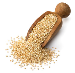 raw white quinoa in the wooden scoop, isolated on white background