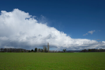 Naklejka na ściany i meble Blauer Himmel mit Wolkenband und Regenfront über dem Westerwald in Deutschland im April - Stockfoto