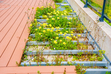 Abandoned construction of a wooden terrace on a balcony with wild plants. A new wooden, timber deck being constructed