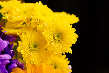 Yellow, purple, and red bouquet: sunflower, chrysanthemums,  carnation