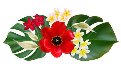 Tropical flowers. Plumeria. Red. Green leaves. Floral background. Palm leaves. Exotic. Bouquet.