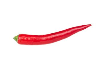 Red hot chili pepper close up isolated on white background