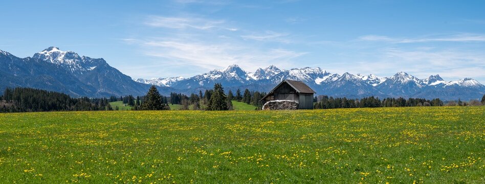 Fr&uuml;hlingslandschaft bei Greith, Buching im Ostallg&auml;u