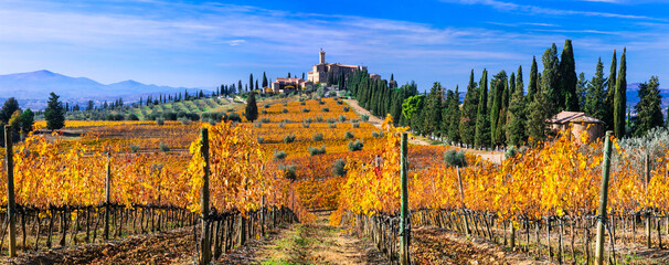 Autumn scenery. countryside of Tuscany. Golden vineyards and castle Castello di  Banfi. Italy