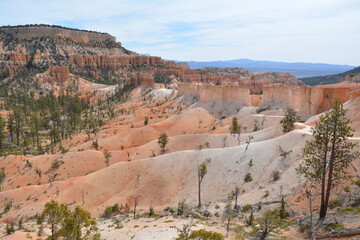 Fototapeta na wymiar Bryce Canyon National Park Utah Hoodoo Desert Travel USA