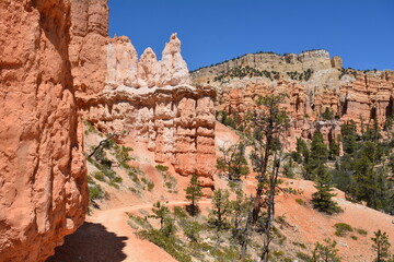 Bryce Canyon National Park Utah Hoodoo Desert Travel USA