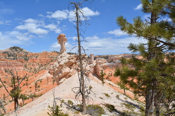 Bryce Canyon National Park Utah Hoodoo Desert Travel USA