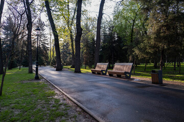 Early morning in the park. Place of rest for the townspeople. Park in Almaty