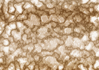 texture of the stone white and brown