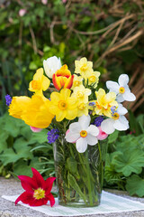 Blumenstrauß mit gelben und weißen Narzissen und Tulpen in Glasvase