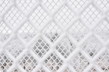 Frosty Fence
