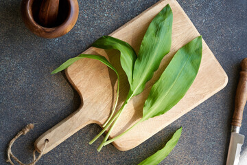 Fresh wild garlic leaves - a medicinal and wild edible plant
