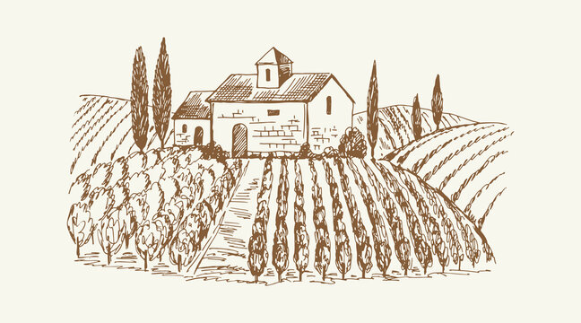 Sketch landscape with castle. Medieval farm, nature and vine plantation. Vintage vineyard, agricultural rustic vector illustration