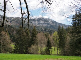 falaise en vercors