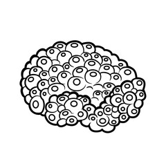 Round coral coloring book linear drawing isolated on white background