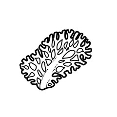 Corall coloring book linear drawing isolated on white background