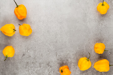 Red hot chili peppers pattern texture background.