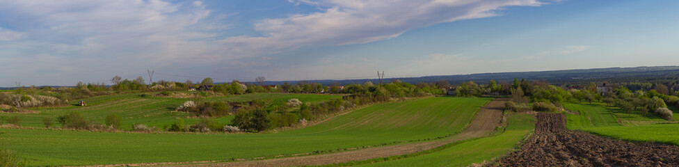 Fototapeta na wymiar panorama wsi