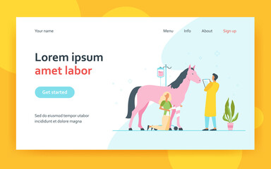Veterinarian giving treatment to horse. Pet doctor, foal, trauma. Flat vector illustration. Veterinary clinic, animal care, stabling concept for banner, website design or landing web page