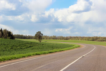 Fototapeta na wymiar Road in the fields and blue sky