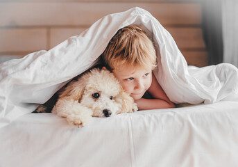 The boy and the poodle puppy lie on the bed. The boy hugs the poodle.