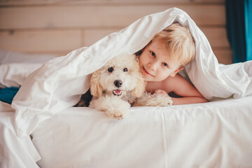 A boy and a poodle puppy lie on the bed and look out from under the covers. Looking into the camera.