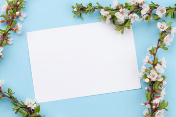 Cherry blossom card over blue wood background