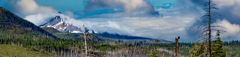 Suttle lake with Mt Washington in background and a bald eagle perched on top of a dead tree.  New...