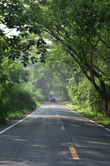 Fototapeta premium road in the forest and foggy after raining day in thailand