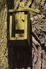 old birdhouse on a tree