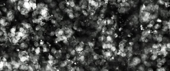 rain drops on a window