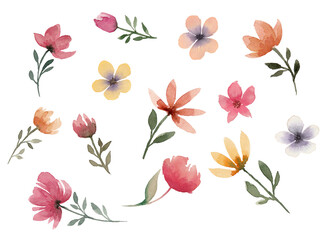 Big watercolor collection of different flowers on write background, summer set of flowers for decoration 