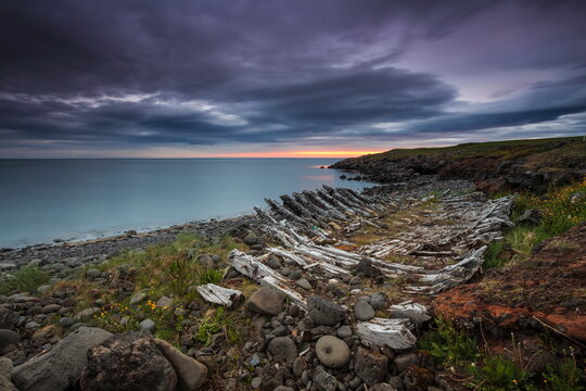 boat wreck; boat skeleton; old; drakar; viking boat; atlantic ocean; north; iceland; northern sea route; fjords; gulfstream; warm sea current; global warming; ocean; sunrise; beach; travel; horizon; a