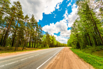 Suburban road passing through the forest. View from the side of the road