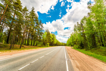 Suburban road passing through the forest. View from the road