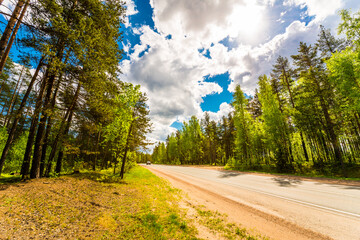 Suburban road passing through the forest illuminated by the sun, the car goes. View from the side of the road