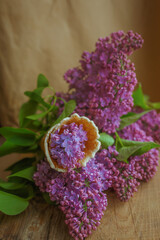 bunch of lilac flowers