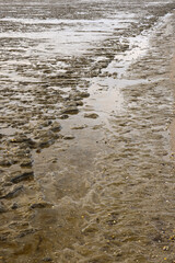wadden sea structure