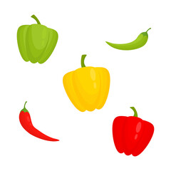 Peppers set icon. Red, yellow and green pepper fresh vegetables. Paprika chili vegetable. Healthy organic food collection. Vector illustration isolated on white.