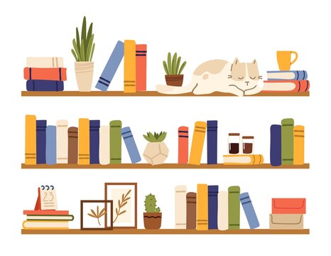 Book shelves. Rack books, interior bookshelf with cat, plants in pot and accessories. Isolated comfy scandinavian style home shelf, bookcase vector elements