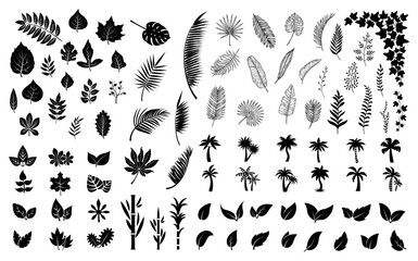 Leaves silhouettes. Black leaf, palm tree foliage. Isolated flat planting collection. Forest, exotic palms and ivy vector bundle