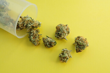 Marijuana micro-dosing concept. Cannabis buds in plastic cup on yellow background. CBD therapy, medical usage. Natural antidepressan, top view, flat lay.