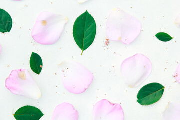 pattern with flowers