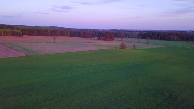 Flight over spring fields at evening. 4k AERIAL footage.
