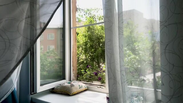 A sharp gust of wind from the open window, strongly pushed back the tulle and curtains. Outside the window, a sunny day, purple petunias in a flower box, green trees, city houses
