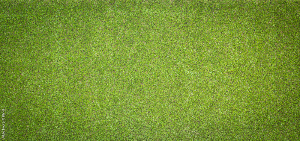 Canvas Prints grass texture for background