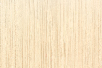 Texture of wood background closeup